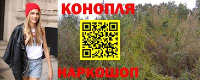 Альфа ПВП Заволжье