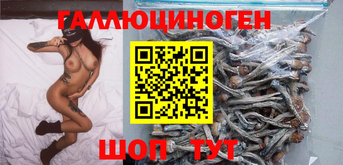 Мелеуз  Галлюциногенные грибы Cubensis  Вход с VPN 